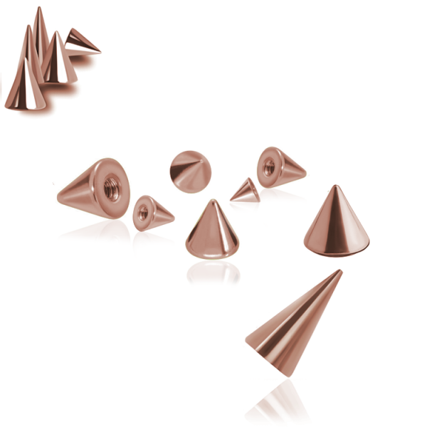 Chirurgenstahl 316L – Micro-Schraubspitze mit PVD-Beschichtung