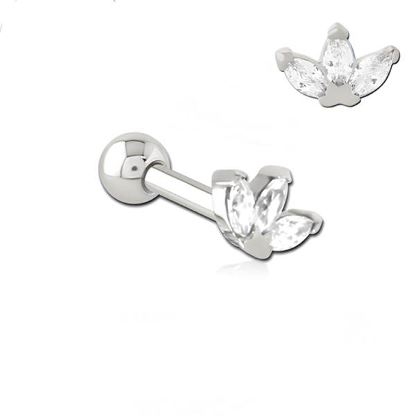 Chirurgenstahl 316L – Ohrpiercing mit präzise eingefassten Zirkonia
