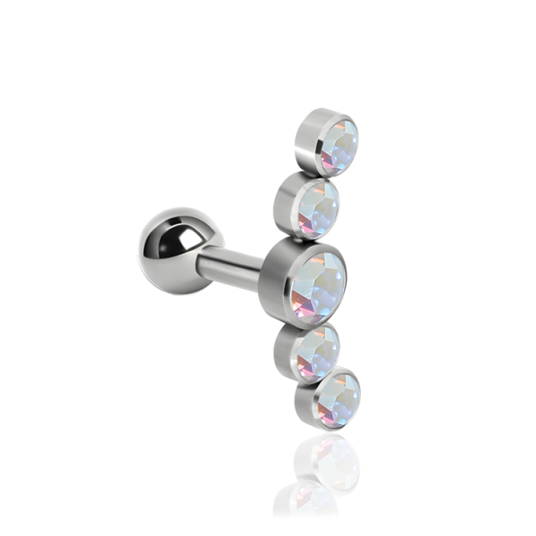 Chirurgenstahl 316L – Ohrpiercing mit fünf Discs mit Premium-Kristallen