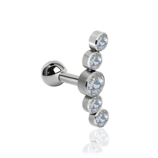 Chirurgenstahl 316L – Ohrpiercing mit fünf Discs mit Premium-Kristallen