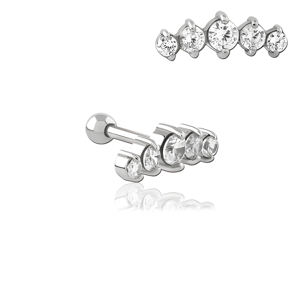 Chirurgenstahl 316L – Ohrpiercing mit eingefassten Zirkonia
