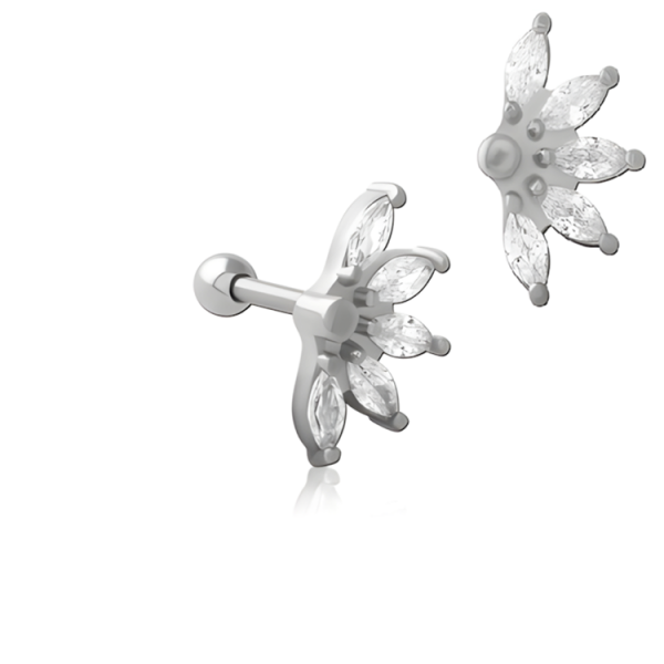 Chirurgenstahl 316L – Ohrpiercing mit eingefassten Zirkonia