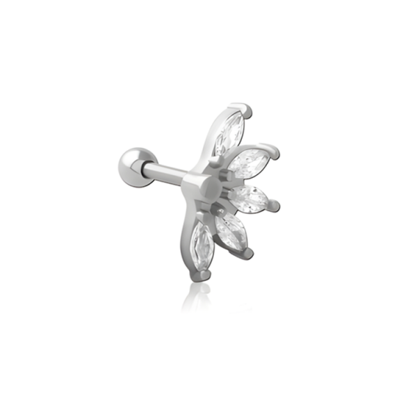 Chirurgenstahl 316L – Ohrpiercing mit eingefassten Zirkonia