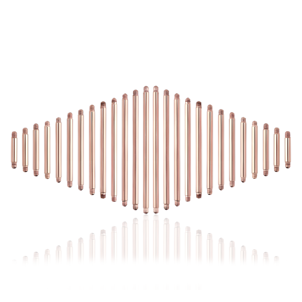 Chirurgenstahl 316L – Barbell ohne Kugeln mit PVD-Beschichtung