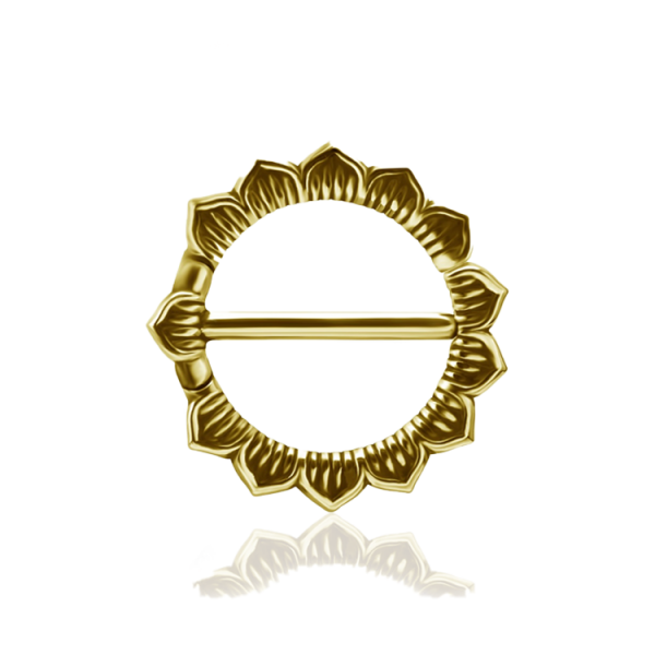 Chirurgenstahl 316L – Nippelpiercing Clicker mit PVD-Beschichtung 