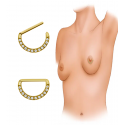Chirurgenstahl 316L – Nippelpiercing Clicker mit eingefassten Zirkonia & PVD-Beschichtung 