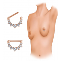 Chirurgenstahl 316L – Nippelpiercing-Clicker mit eingefassten Zirkonia & PVD-Beschichtung (Roségoldfarben)