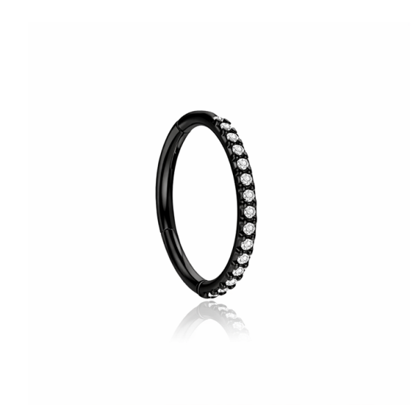 Chirurgenstahl 316L – Conch Segmentring-Clicker mit eingefassten Premium-Zirkonia & PVD-Beschichtung 