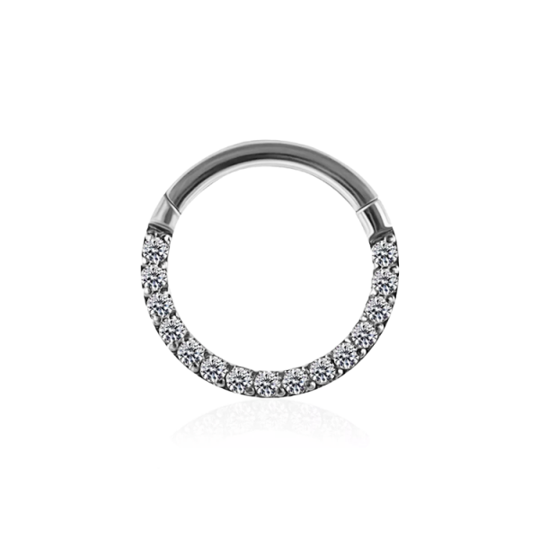 Chirurgenstahl 316L – Conch Segmentring-Clicker mit eingefassten Premium-Zirkonia