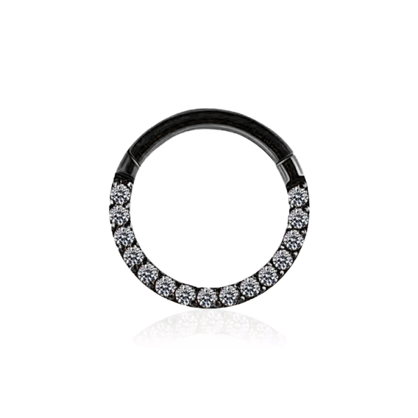 Chirurgenstahl 316L – Segmentring-Clicker mit eingefassten Premium-Zirkonia & PVD-Beschichtung 