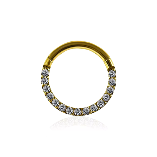 Chirurgenstahl 316L – Conch Segmentring-Clicker mit eingefassten Premium-Zirkonia & PVD-Beschichtung 