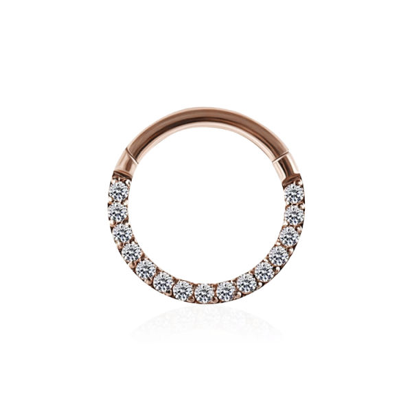 Chirurgenstahl 316L – Conch Segmentring-Clicker mit eingefassten Premium-Zirkonia & PVD-Beschichtung 