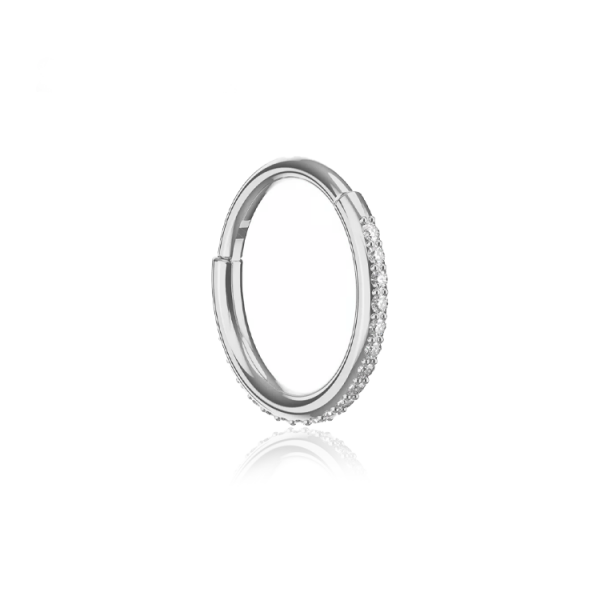 Chirurgenstahl 316L – Conch Segmentring-Clicker mit eingefassten Premium-Zirkonia