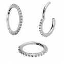 Chirurgenstahl 316L – Conch Segmentring-Clicker mit eingefassten Premium-Zirkonia