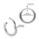 Chirurgenstahl 316L – Conch Segmentring-Clicker mit eingefassten Premium-Zirkonia