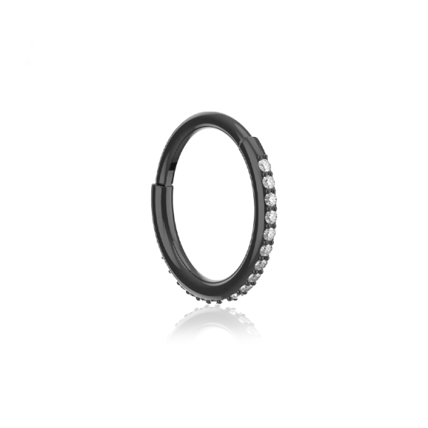 Chirurgenstahl 316L – Conch Segmentring-Clicker mit eingefassten Premium-Zirkonia & PVD-Beschichtung 