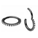 Chirurgenstahl 316L – Conch Segmentring-Clicker mit eingefassten Premium-Zirkonia & PVD-Beschichtung 