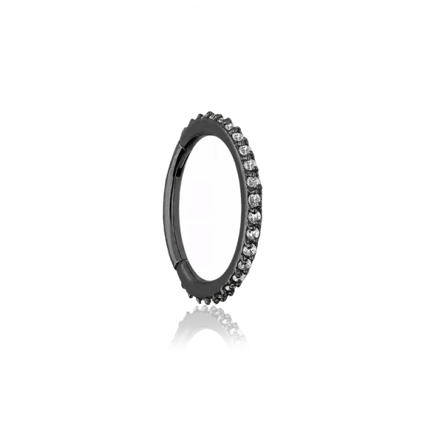 Chirurgenstahl 316L – Conch Segmentring-Clicker mit eingefassten Premium-Zirkonia & PVD-Beschichtung 