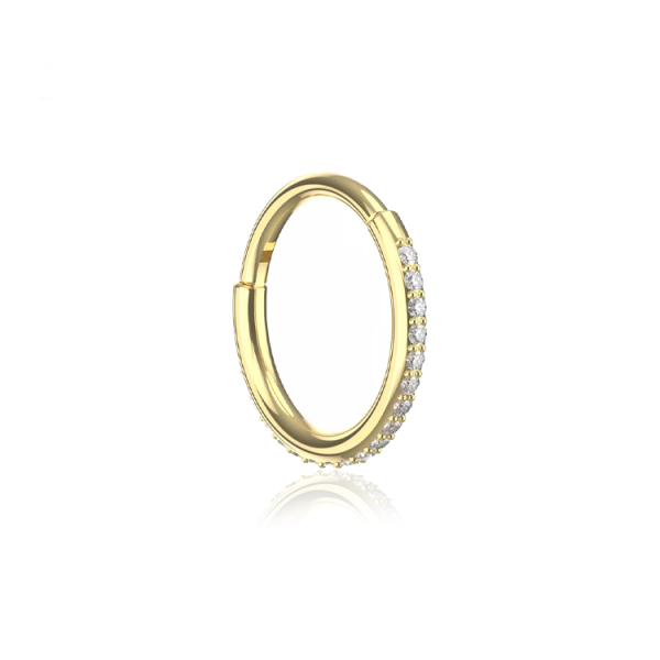 Chirurgenstahl 316L – Conch Segmentring-Clicker mit eingefassten Premium-Zirkonia & PVD-Beschichtung 