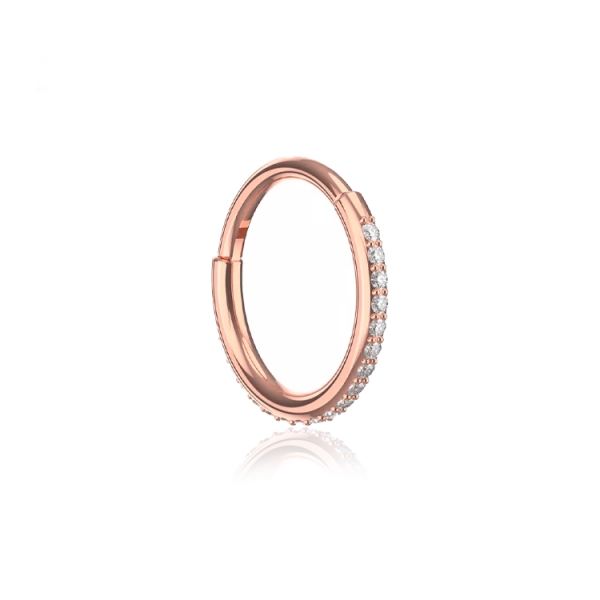 Chirurgenstahl 316L – Conch Segmentring-Clicker mit eingefassten Premium-Zirkonia & PVD-Beschichtung 