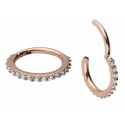 Chirurgenstahl 316L – Conch Segmentring-Clicker mit eingefassten Premium-Zirkonia & PVD-Beschichtung 