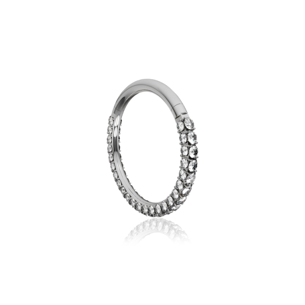 Chirurgenstahl 316L – Conch Segmentring-Clicker mit eingefasstem Premium-Kristallrand