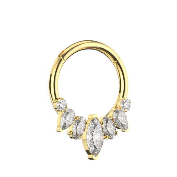 Chirurgenstahl 316L – Conch Segmentring Clicker mit eingefassten Zirkonia & PVD-Beschichtung 