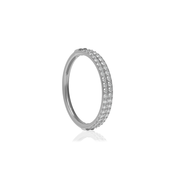 Chirurgenstahl 316L – Conch Segmentring-Clicker mit eingefassten Premium-Zirkonia