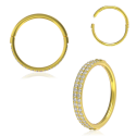 Chirurgenstahl 316L – Conch Segmentring-Clicker mit Premium-Zirkonia & PVD-Beschichtung 