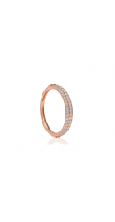 Chirurgenstahl 316L – Conch Segmentring-Clicker mit Premium-Zirkonia & PVD-Beschichtung 