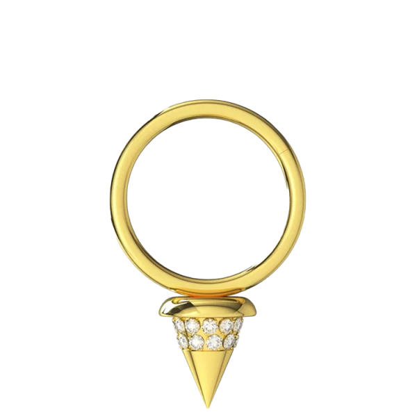 Chirurgenstahl 316L – Segmentring Clicker mit eingefassten Zirkonia & PVD-Beschichtung