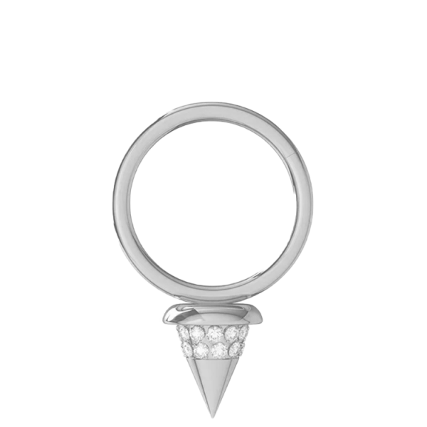 Chirurgenstahl 316L – Segmentring-Clicker mit eingefasstem Zirkonia