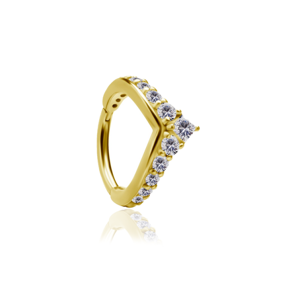 Chirurgenstahl 316L – Segmentring Clicker mit eingefassten Zirkonia & PVD-Beschichtung
