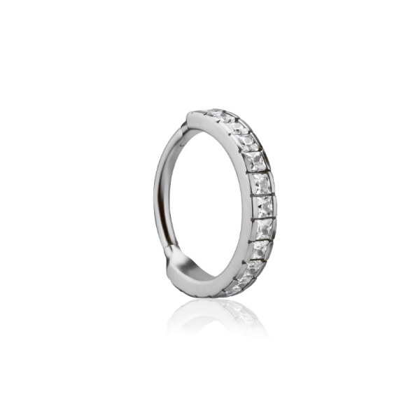 Chirurgenstahl 316L – Segmentring-Clicker mit eingefassten Zirkonia