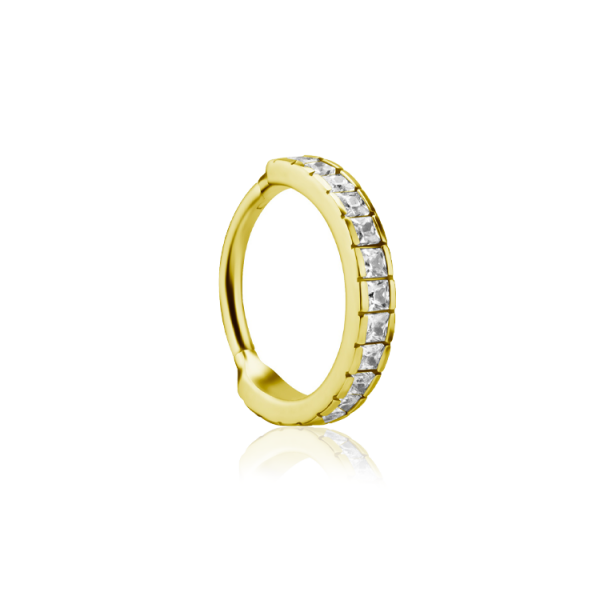 Chirurgenstahl 316L – Segmentring Clicker mit eingefassten Zirkonia & PVD-Beschichtung 