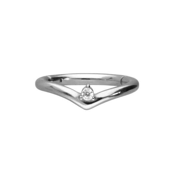 Chirurgenstahl 316L – Conch Segmentring-Clicker mit eingefassten Premium-Zirkonia