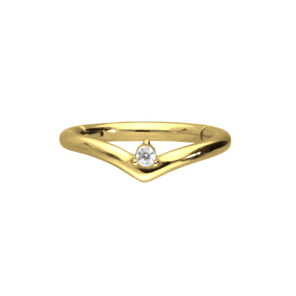 Chirurgenstahl 316L – Conch Segmentring-Clicker mit eingefasstem Premium-Zirkonia & PVD-Beschichtung