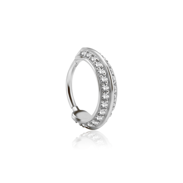 Chirurgenstahl 316L – Conch Segmentring-Clicker mit eingefassten Zirkonia