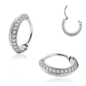 Chirurgenstahl 316L – Conch Segmentring-Clicker mit eingefassten Zirkonia