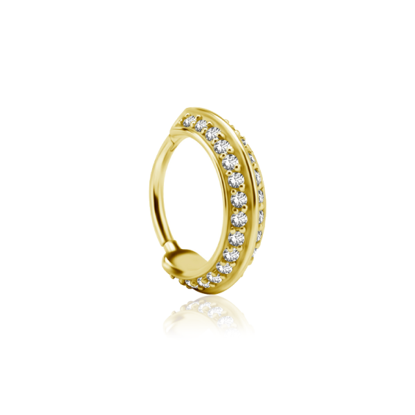 Chirurgenstahl 316L – Conch Segmentring Clicker mit eingefassten Zirkonia & PVD-Beschichtung 
