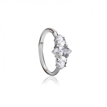 Chirurgenstahl 316L – Conch Segmentring-Clicker mit eingefassten Zirkonia