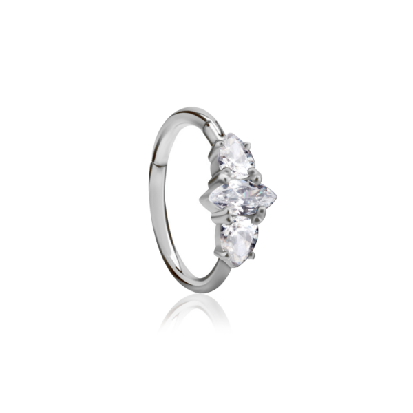 Chirurgenstahl 316L – Conch Segmentring-Clicker mit eingefassten Zirkonia