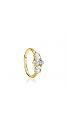 Chirurgenstahl 316L – Conch Segmentring Clicker mit eingefassten Zirkonia & PVD-Beschichtung 