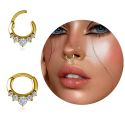 Chirurgenstahl 316L – Ovaler Segmentring Clicker mit eingefassten Zirkonia & PVD-Beschichtung