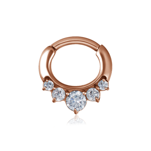 Chirurgenstahl 316L – Ovaler Segmentring Clicker mit eingefassten Zirkonia & PVD-Beschichtung