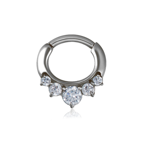 Chirurgenstahl 316L – Ovaler Segmentring Clicker mit fünf eingefassten Zirkonia