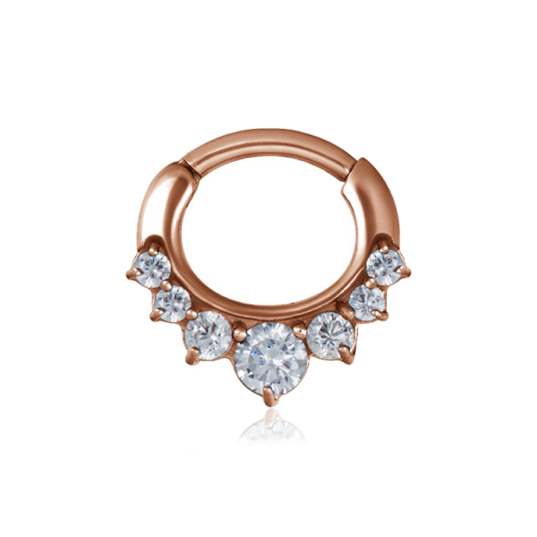 Chirurgenstahl 316L – Ovaler Segmentring Clicker mit eingefassten Zirkonia & PVD-Beschichtung