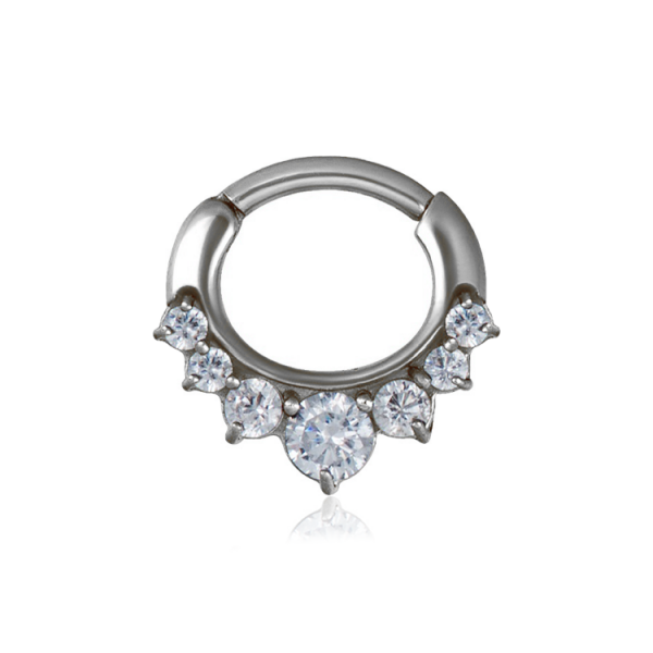Chirurgenstahl 316L – Ovaler Segmentring Clicker mit sieben eingefassten Zirkonia