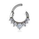 Chirurgenstahl 316L – Ovaler Segmentring Clicker mit sieben eingefassten Zirkonia
