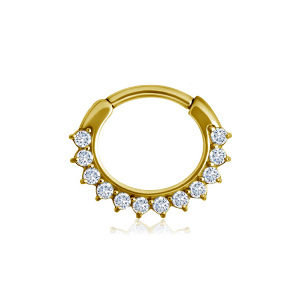 Chirurgenstahl 316L – Ovaler Segmentring Clicker mit eingefassten Zirkonia & PVD-Beschichtung